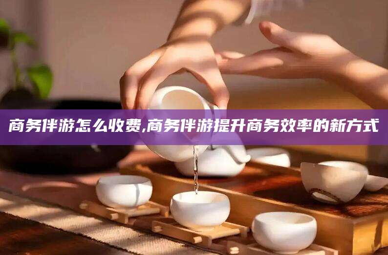 诸城商务伴游怎么收费,商务伴游提升商务效率的新方式